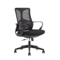 Ergonomic Computer Chair Adjustable Desk Chair with Lumbar Support