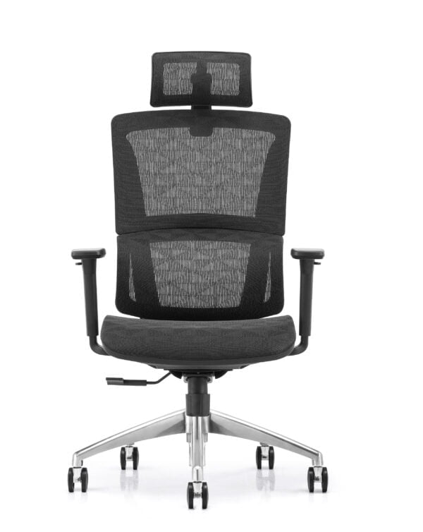 Premium Ergonomic Mesh Office Chair With Seat Slider