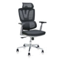 ErgoMesh Pro High Back Office Chair