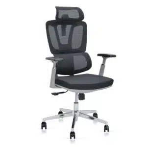 ErgoMesh Pro High Back Office Chair