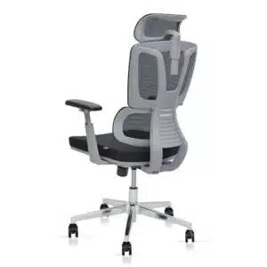 buy ErgoMesh Pro High Back Office Chair