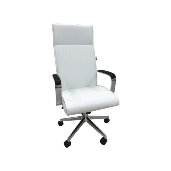 Evergreen High-Back Ergonomic Office Chair – White - Image 1