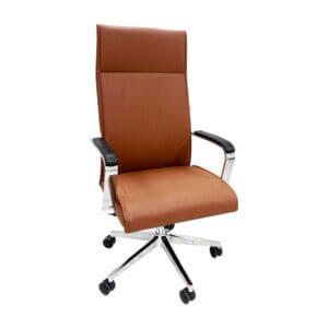 Evergreen High-Back Ergonomic Office Chair – Brown