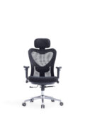 Back Care High Back Mesh Office Chair