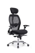 Sunny New Model Ergonomic Office Chair