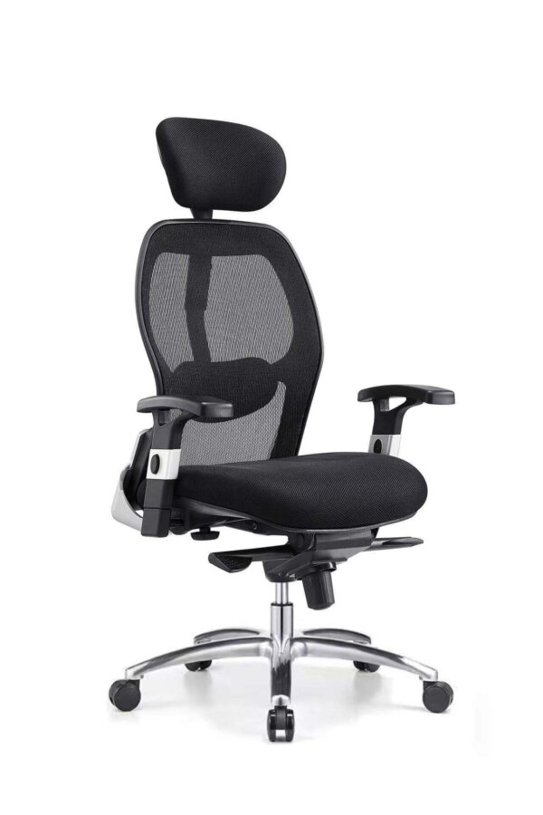 Sunny New Model Ergonomic Office Chair - Image 1