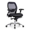 Sunny Ergonomic Medium Back Office Chair
