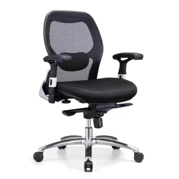 Sunny Ergonomic Medium Back Office Chair - Image 1