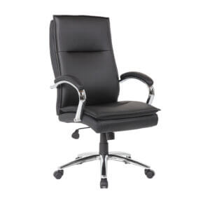 ErgoLux Premium Executive Office Chair in Black Color