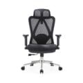 ErgoMesh High Back Office Chair with Headrest